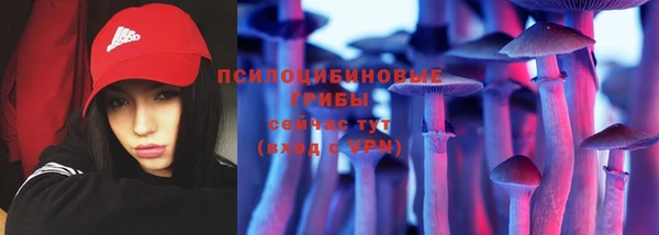стаф Абаза