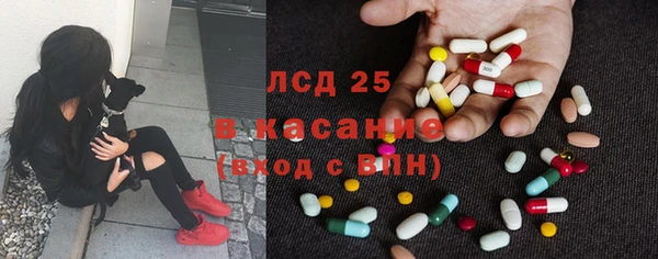 мяу мяу мука Покровск