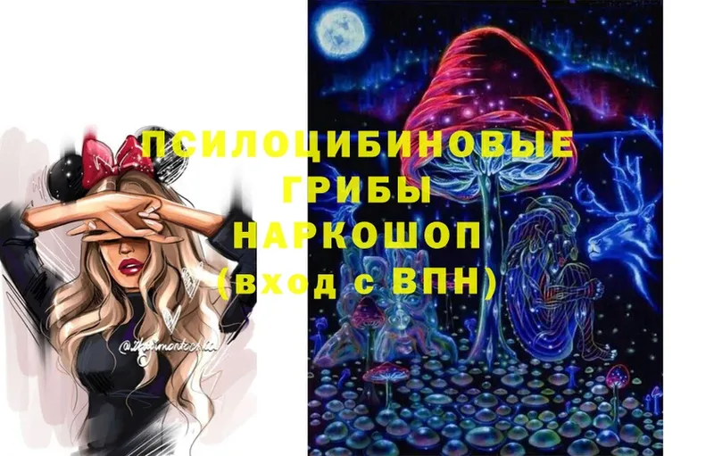Галлюциногенные грибы GOLDEN TEACHER  OMG tor  Ак-Довурак 